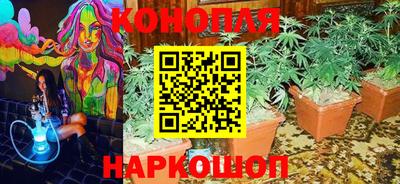 соль ск Гатчина