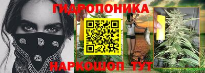 соль ск Гатчина