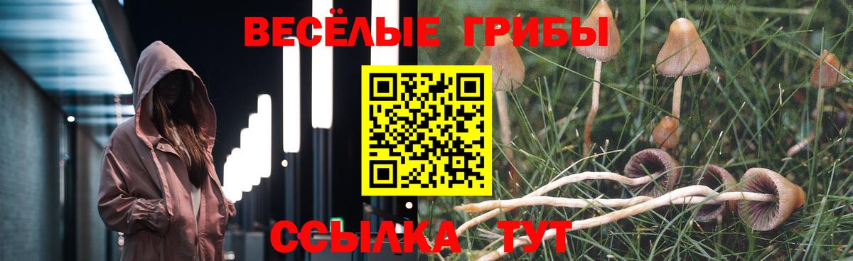 Галлюциногенные грибы ЛСД  наркошоп  Псилоцибиновые грибы Magic Shrooms  Выборг  Вход с VPN 